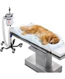 3M 55077 Bair Hugger Animal Health Blanket - Underbody Long (Pack of 10) | International Shipping Available - Buy Online on SooperMarket.com