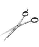 Elite Unity 6.5 Inch Hair Cutting Scissors Barber Shears - Professional Razor Edge Sharp Scissors for Barber Kit, Haircut, Trimming Men/Women - Salon & Home Use - Buy Online on SooperMarket.com