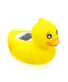 Baby Bath Tub Water Thermometer - (Upgraded Version) Digital Water Temperature Thermometer & Room Thermometer, Duck Floating Toy for Infant Toddler Bathtub Pool with Temperature Warning - Buy Online on SooperMarket.com