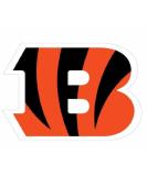 Siskiyou NFL Sports Fan Shop Cincinnati Bengals 8 inch sheet Team Color Logo Magnets Cincinnati Bengals 8 inch sheet Team Color - Buy Online on SooperMarket.com