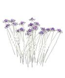 Rbenxia 20 Pcs Bridal Wedding Rhinstone Hair Pins 2.4 Inches Bridal Prom Clips Rose U-shaped Hair Pins for Women and Girls  Purple - Buy Online on SooperMarket.com