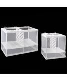 2 Pcs Nylon Mesh Aquarium Fish Fry Hatchery Isolation Box with Board - Buy Online on SooperMarket.com