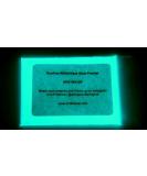 Glow in The Dark Pigment Powder - Neutral and Fluorescent color for Art Painting  Fine Art  Nail Art Paint  and DIY Crafts - Non-Toxic  Long Lasting 10+ Color Options - (12 grams) Neutral Aqua 12 Grams - Buy Online on SooperMarket.com