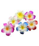 Calcifer 30pcs 1.97''Hawaii Hawaiian Plumeria Flower Clips Bridal Wedding Party Beach Hair Clips - Buy Online on SooperMarket.com