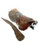 Romneys pheasant dummy 500g | With real plumage feather dummy | Ideal for hunting dog training | Wild dummy | Floatable - Buy Online on SooperMarket.com