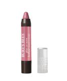 Burt's Bees 100% Natural Moisturizing Gloss Lip Crayon Pink Lagoon - 1 Count - Buy Online on SooperMarket.com