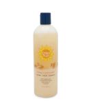 B a Vida Deodorizing Citrus Plus Elder Shampoo and Body Wash  Soap Made with Persimmon to Treat the Presence of Nonenal and Remove Old Person Smell Naturally  16 oz - Buy Online on SooperMarket.com