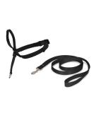 PetSafe Easy Walk Head Collar M Black - Gentle Training Solution for Dogs - Buy Online on SooperMarket.com