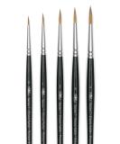 Winsor & Newton Series 7 Kolinsky Sable Brush Set - Pointed Round (Set of 5) - Buy Online on SooperMarket.com