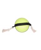 Flamingo HS Matchball Tennis Ball 15CM | Premium Quality & Fast International Shipping - Buy Online on SooperMarket.com