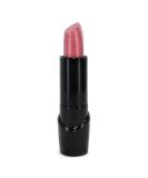 Wet n Wild Silk Finish Lipstick - Dark Pink Frost (6 Pack) | Long-Lasting Formula | Moisturizing Lip Color - Buy Online on SooperMarket.com