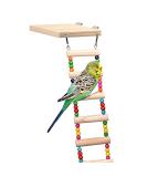 Wooden Bird Ladder Stand with 8 Swings - Perfect for Pet Training and Play | Bird Cage Accessories for Cockatiel Parakeet - Buy Online on SooperMarket.com