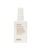 evo Salty Dog Salt Spray - Hair Texture & Volume Spray - Beach Textured Hair Natural Matte Finish - Travel Size 50ml / 1.7fl.oz 50 g (Pack of 1) - Buy Online on SooperMarket.com