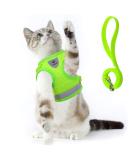 Supet Cat Dishes & Soft Vest for Kittens & Dogs - Green - Breakfast Cat Lines - Perfect Fit for Chihuahuas (26-32 cm) - Buy Online on SooperMarket.com