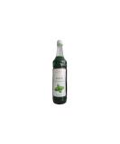 Buy Seductive Delicia Mint Desserts Syrup 1L | Versatile Sweet Agent for Creative Cooking | International Shipping Available - Buy Online on SooperMarket.com