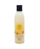 BoaVida Deodorizing Citrus Plus Elder Shampoo and Body Wash with new leak-proof caps  Soap Made with Persimmon to Treat the Presence of Nonenal and Remove Old Person Smell  8 oz - Buy Online on SooperMarket.com