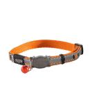 Rogz Catz NightCat Collar Orange Orange Single - Buy Online on SooperMarket.com