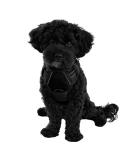 Reflective Dog Harness for Small & Medium Dogs - Nylon Breathable Mesh - Ideal for Training Puppies - Size M (Black) - Buy Online on SooperMarket.com
