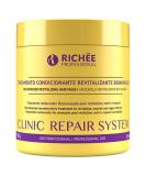 Rich e Professional Clinic Repair System Revitalizing Conditioning Mask 500g/17.6oz - Buy Online on SooperMarket.com