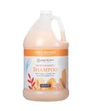 Ginger Lily Farms Botanicals Moisturizing Shampoo for All Hair Types, Coco Mango, 100% Vegan & Cruelty-Free, Coconut Mango Scent, 1 Gallon (128 fl oz) Refill 128 Fl Oz (Pack of 1) - Buy Online on SooperMarket.com