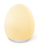 Synighty Dimmable Silicone LED Night Light for Children - 8 Color Changing 1-Hour Timer Memory Function Type C Charging - Perfect Egg-Shaped Bedside Lamp for Breastfeeding (White) - Buy Online on SooperMarket.com