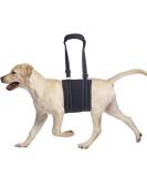 Comfpet Dog Back Leg Lift Aid | Portable Dog Sling for Medium Dogs | Perfect for Older Dogs & Ligament Rehabilitation - Buy Online on SooperMarket.com