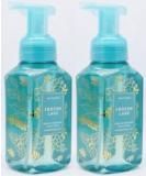 White Barn Bath and Body Works Frozen Lake Hand Soap 2-Pack - 8.75 oz - Buy Online on SooperMarket.com
