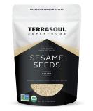 Terrasoul Superfoods Organic Hulled Sesame Seeds 2 Lbs - Ideal for Tahini | Gluten-free & Raw - Buy Online on SooperMarket.com