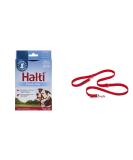 Company of Animals: Halti Headcollar & Double Ended Training Lead Pack suitable for Small Medium and Large dogs - Buy Online on SooperMarket.com