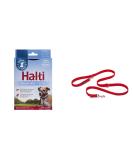 Company of Animals: Halti Headcollar & Double Ended Training Lead Pack suitable for Small Medium and Large dogs - Buy Online on SooperMarket.com