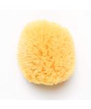 Kyte BABY Natural Sea Sponge 4-5 Inches | Gentle and Eco-Friendly Bath Sponge - Buy Online on SooperMarket.com