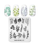 Alexnailart Flower Print Stamping Plates Set (NA015) - Manicure Template & Nail Art Tools - Buy Online on SooperMarket.com