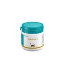 Almapharm Multivital K | 100g Hypoallergenic Cat Supplement | Vitamins & Minerals for Optimal Health - Buy Online on SooperMarket.com