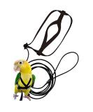 Vreplrse Adjustable Bird Flight Dishes & Easy-to-Wear Parrot Leash - Perfect Gift for Parrot Owners | International Shipping - Buy Online on SooperMarket.com