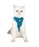 Ultra-Light Adjustable Cat Dishes & Soft Padded Running Vest for Kittens & Puppies - Escape Protection Turquoise - Buy Online on SooperMarket.com