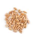 Farro  10 Lb Bag - Buy Online on SooperMarket.com
