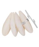 Bohoman 4 pieces sepia shell parrots birds chewing toys with 2 pieces metal holder ink fish sepia bones for parrot birds reptiles snails 12-14cm - Buy Online on SooperMarket.com
