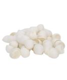 60pcs Exfoliating Silkworm Balls for Face Care | Silk Blackhead Removal & Skin Scrub - Buy Online on SooperMarket.com