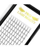 Finished eyelash compartments 3D 4D 5D 6D PLEASE VOLLUME OFTESSIONS 0.07 0.10 eyelash extension eyelashes 3D-D-0.10 13mm 13 mm 5D-D-0.10 - Buy Online on SooperMarket.com