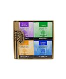 Plantlife Top 4-Pack Therapy Bath Salts - Straight from The Plant Natural Aromatherapy Bath Salts - Balance Calm and Release Tension in The Body - Made in California 3 oz - Buy Online on SooperMarket.com