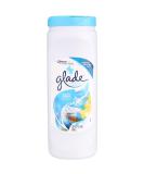 Glade Carpet & Room Deodorizer Clean Linen 32oz (2 Pack) - Buy Online on SooperMarket.com