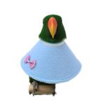 NashaFeiLi Pet Collar Elizabethan Bird Collar Parrot Recovery Collar for Sun Conures Macaws Love Birds (L Blue) L Blue - Buy Online on SooperMarket.com