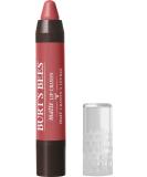 Burt's Bees 100% Natural Origin Moisturizing Matte Lip Crayon  Niagara Overlook - 1 Crayon Niagara Overlook 1 Count (Pack of 1) - Buy Online on SooperMarket.com