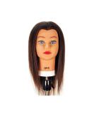 Celebrity Sam II Cosmetology Human Hair Manikin  Brown - Buy Online on SooperMarket.com