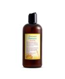 Just Nutritive Normal Hair Shampoo | Best Shampoo for Normal Hair | Fresh & Healthy Hair | International Shipping Available - Buy Online on SooperMarket.com