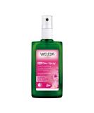 Weleda Wild Rose Deodorant 100 ml Fresh 100 ml (Pack of 1) - Buy Online on SooperMarket.com