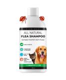 The Healthy Dog Co - 500ml Dog Shampoo - Targets Fleas Ticks and Lice Deep Cleansing Shampoo for Dogs and Cats - Gentle and Sensitive Flea Shampoo for Dogs Cat Puppies and Kittens - Cat Shampoo - Buy Online on SooperMarket.com