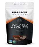 Terrasoul Superfoods Organic Apricots 2 Lbs - Sun-dried  Unsulphured  Fiber - Buy Online on SooperMarket.com