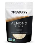 Terrasoul Superfoods Organic Almond Flour 1 Lb - Fine Texture  Grain-Free  Gluten-Free  Perfect for Keto Baking - Buy Online on SooperMarket.com