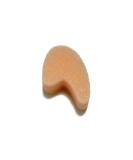 PolyFoam 3-Layer Toe Separators, Medium, Pack of 12 - Buy Online on SooperMarket.com